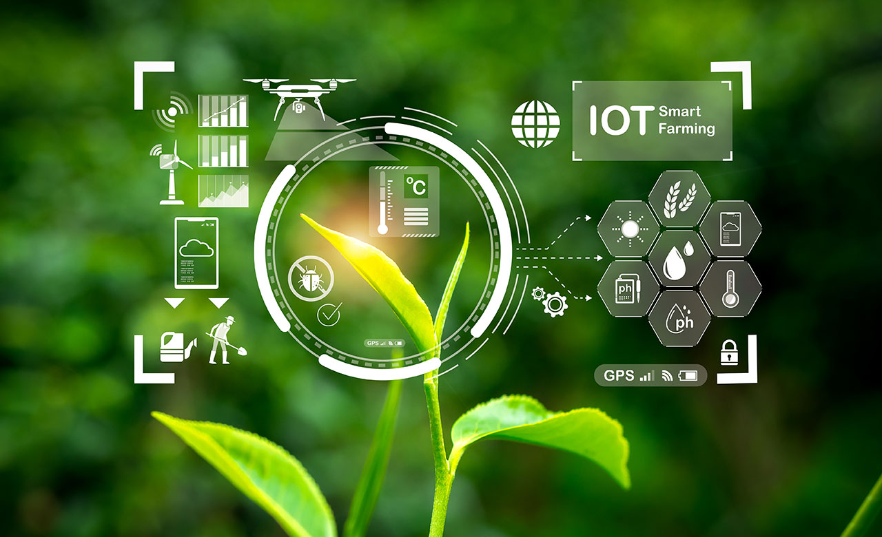 IoT in Agriculture